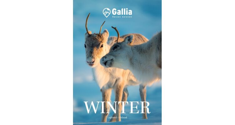 Gallia