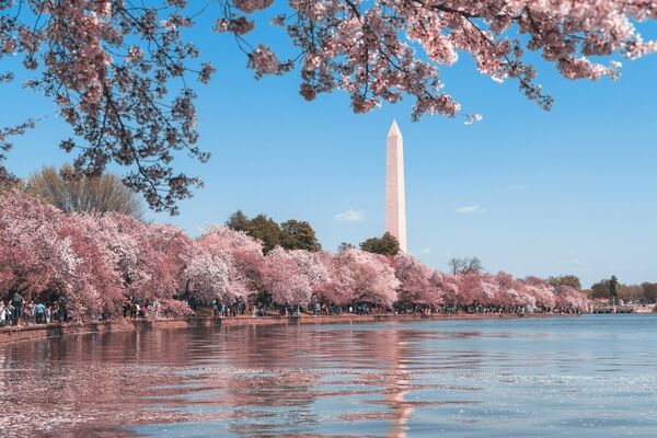 Fietstocht langs de National Mall en Tidal Basin