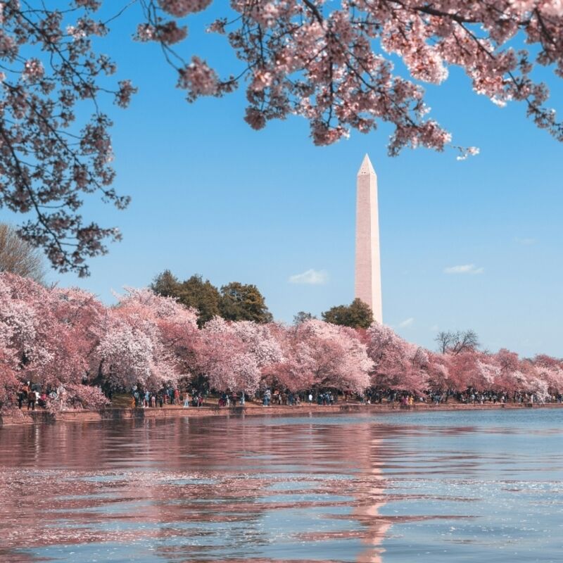 Tidal Basin / Washington Monument