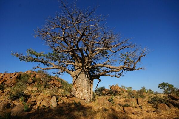 Botswana