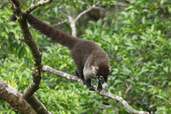 Costa Rica