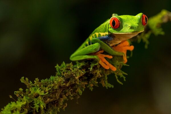 Costa Rica