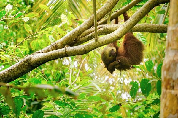 Costa Rica