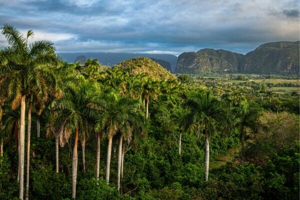 Viñales-vallei