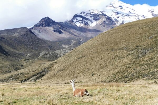 Ecuador