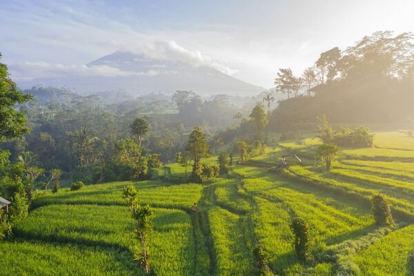 Indonesië