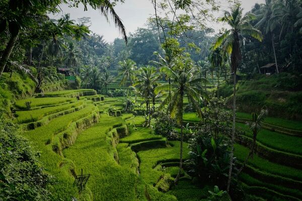 Indonesië