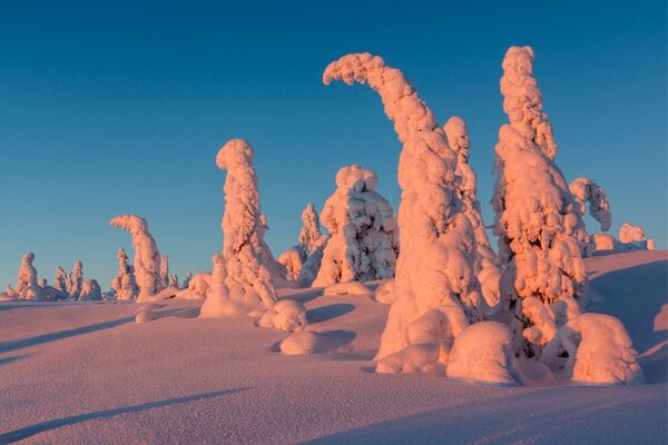 Lapland