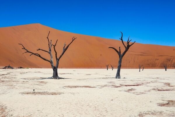 Sossusvlei en Deadvlei