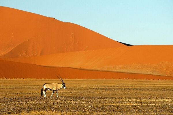 Namibië