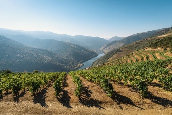 Wijnproeverij in de Douro-vallei
