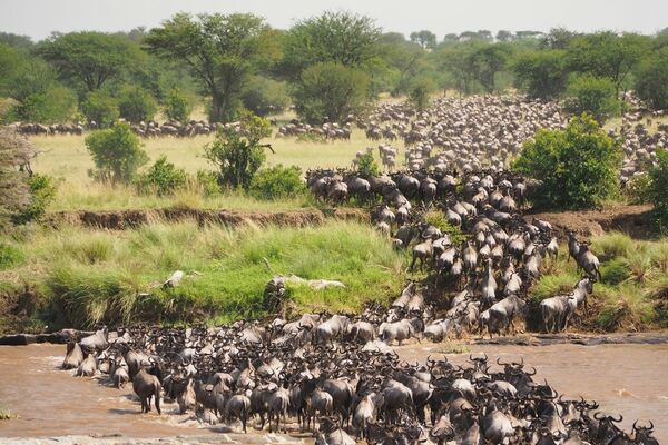 Tanzania