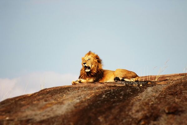 Tanzania