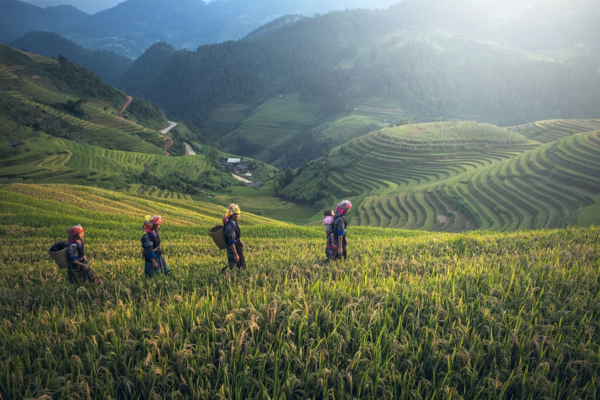 Trektocht door Sapa