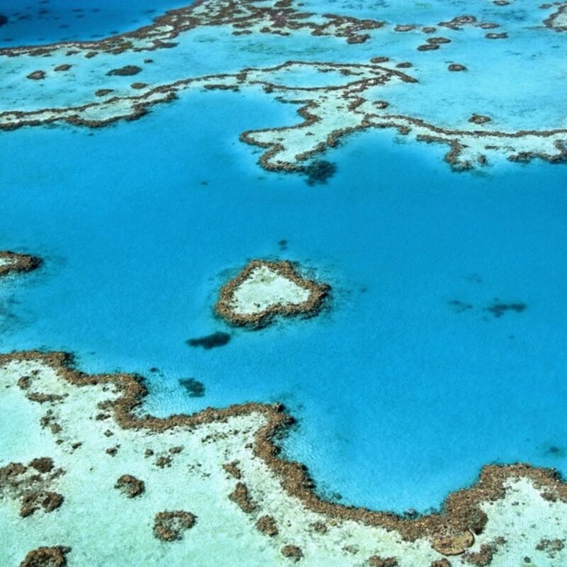 Australië - Great Barrier Reef