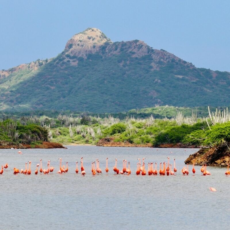 Bonaire - Washington Slagbaai National Park - Mount Brandaris