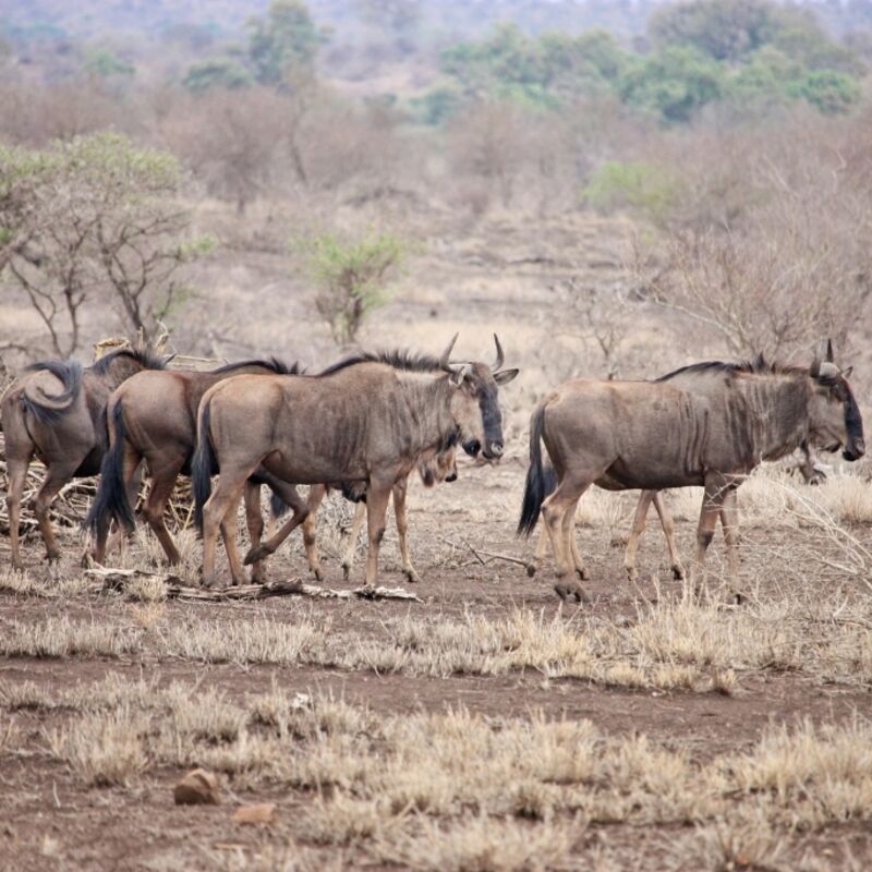 Botswana