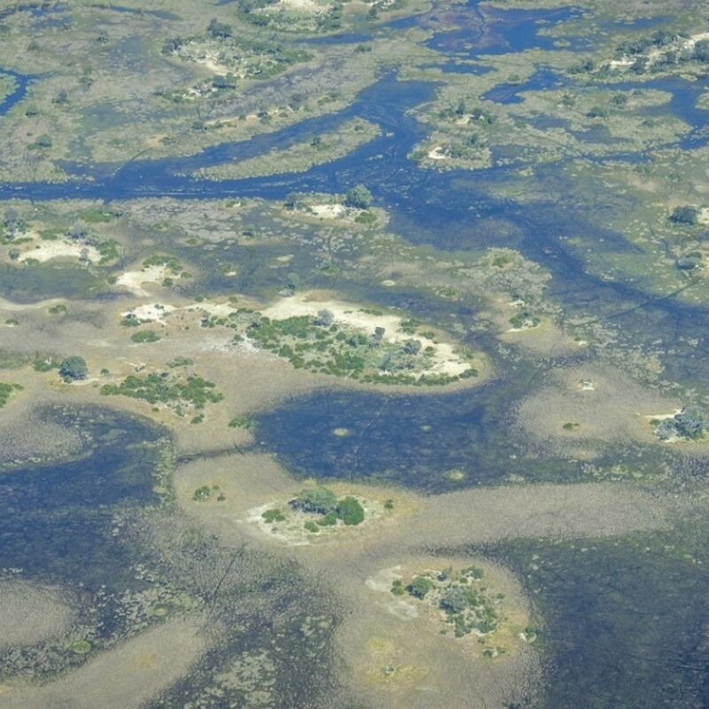 Botswana - Okavango Delta