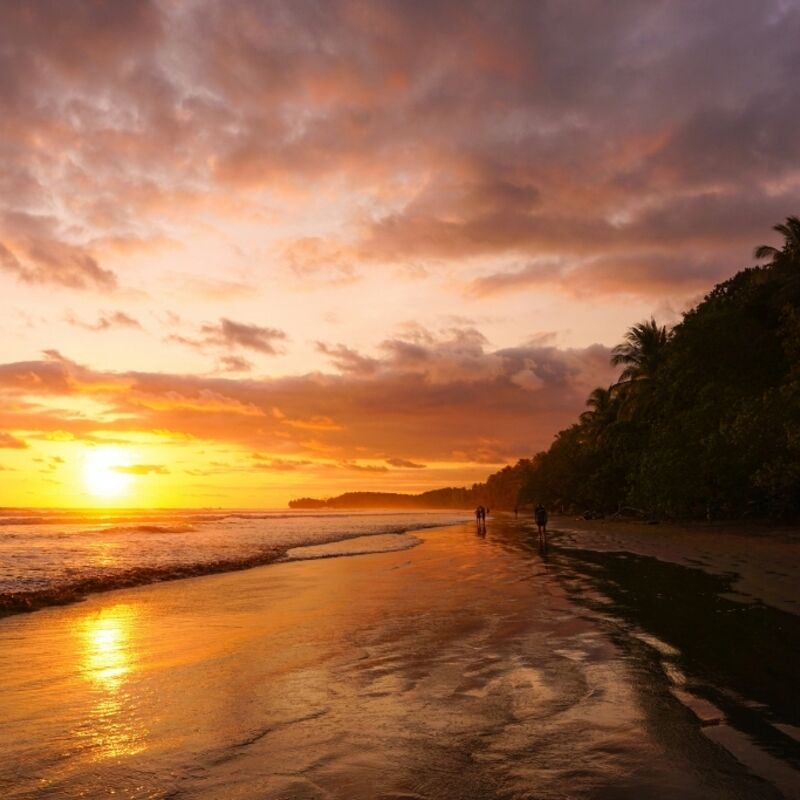 Costa Rica - Uvita - Marino Ballena National Park