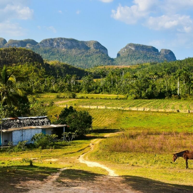 Cuba