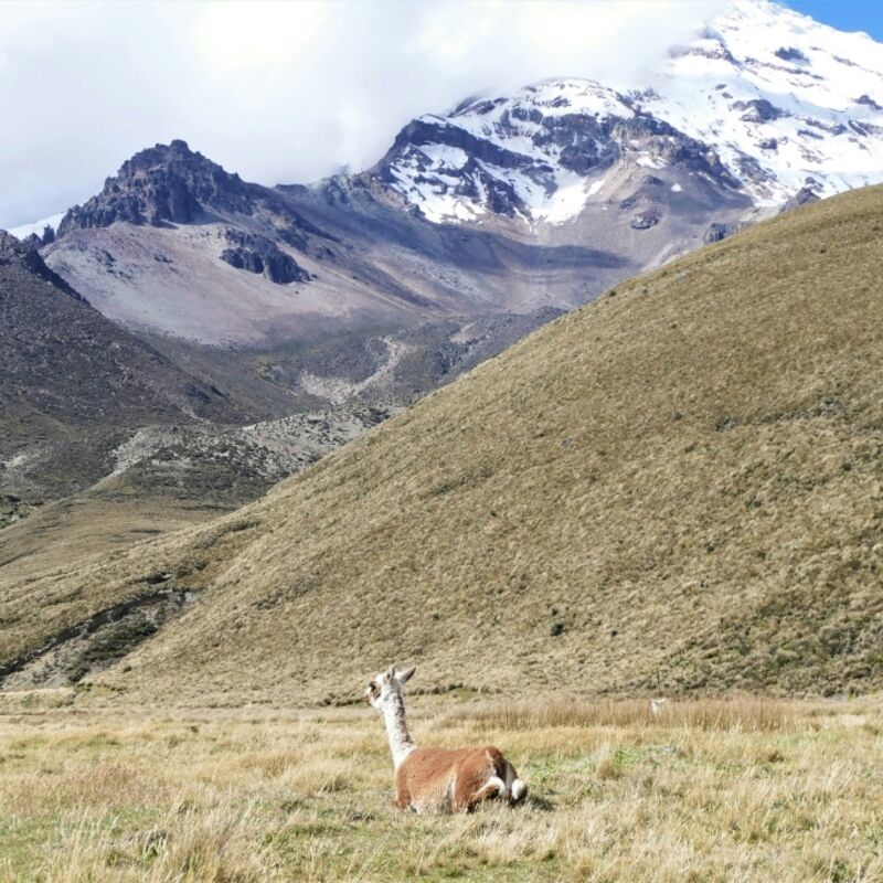 Ecuador - Chimborazo