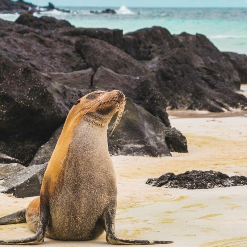 Ecuador - Galapagos