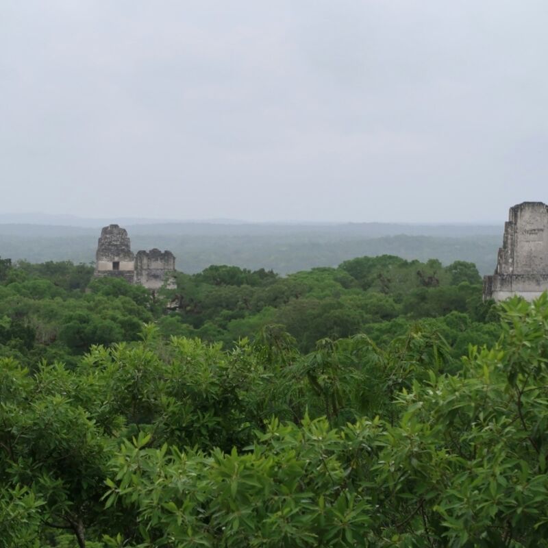 Guatemala - Tikal