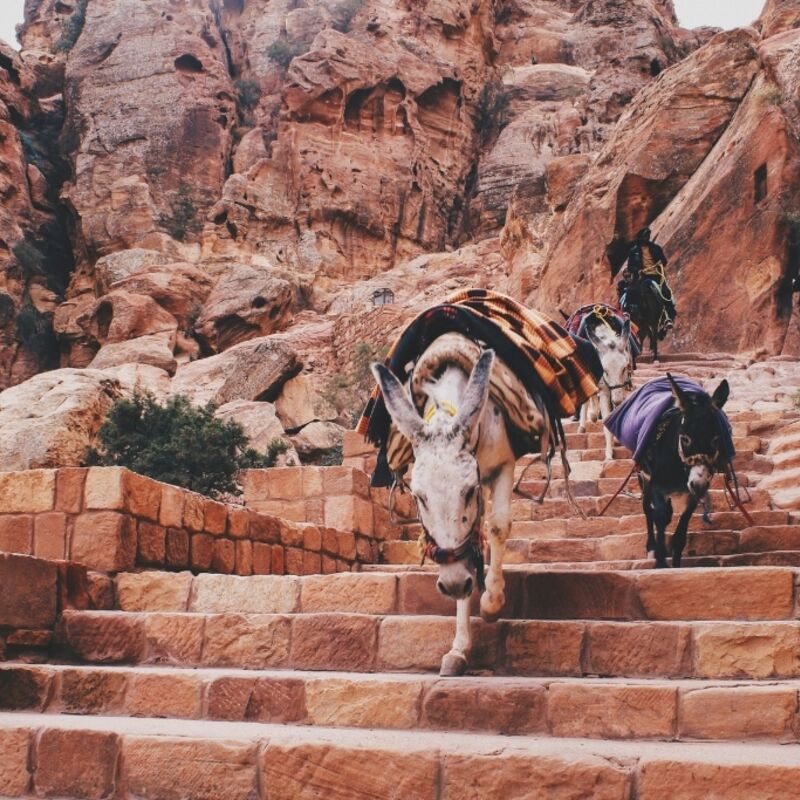 Jordanië - Petra