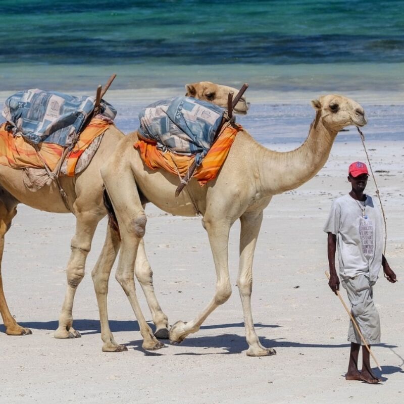 Kenia - Diani Beach