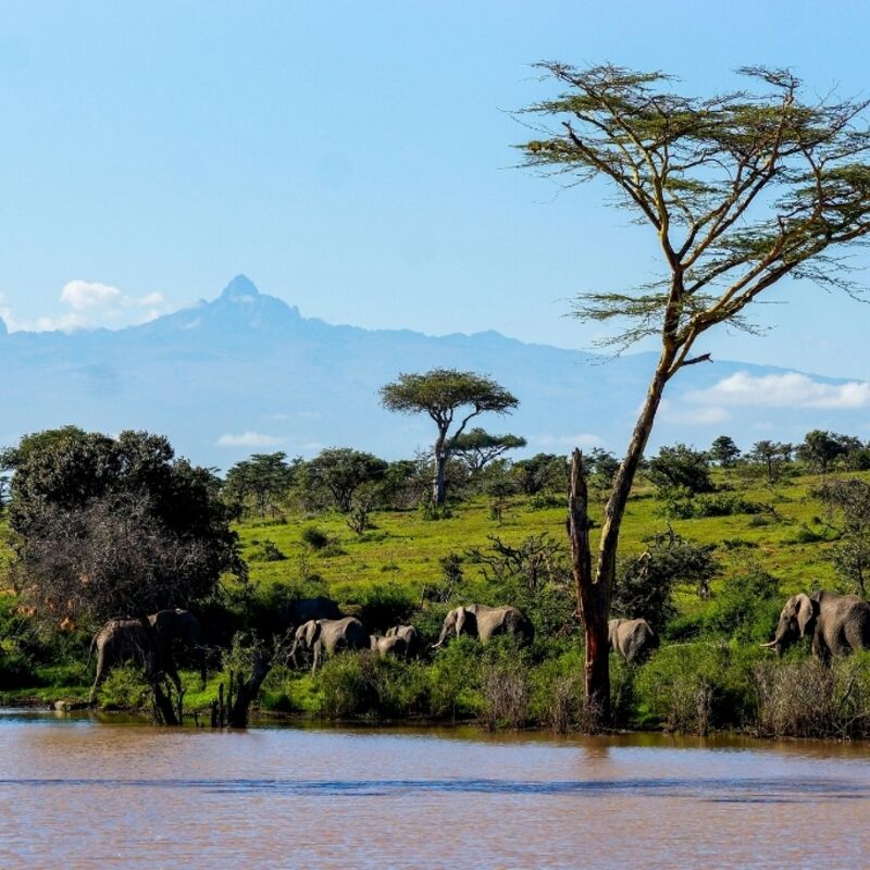 Kenia - Laikipia - Mount Kenya