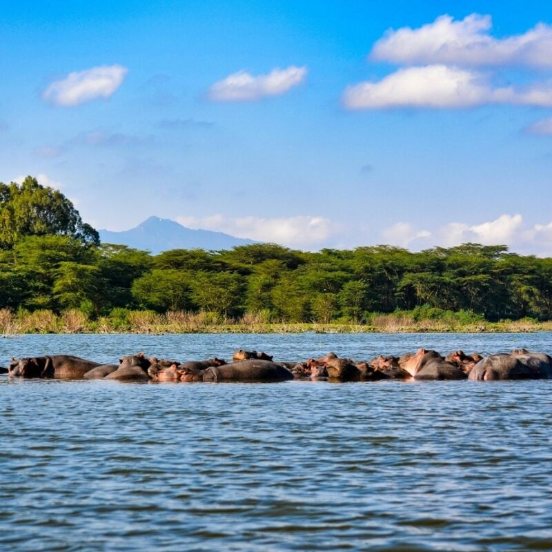 Kenia - Nakuru County