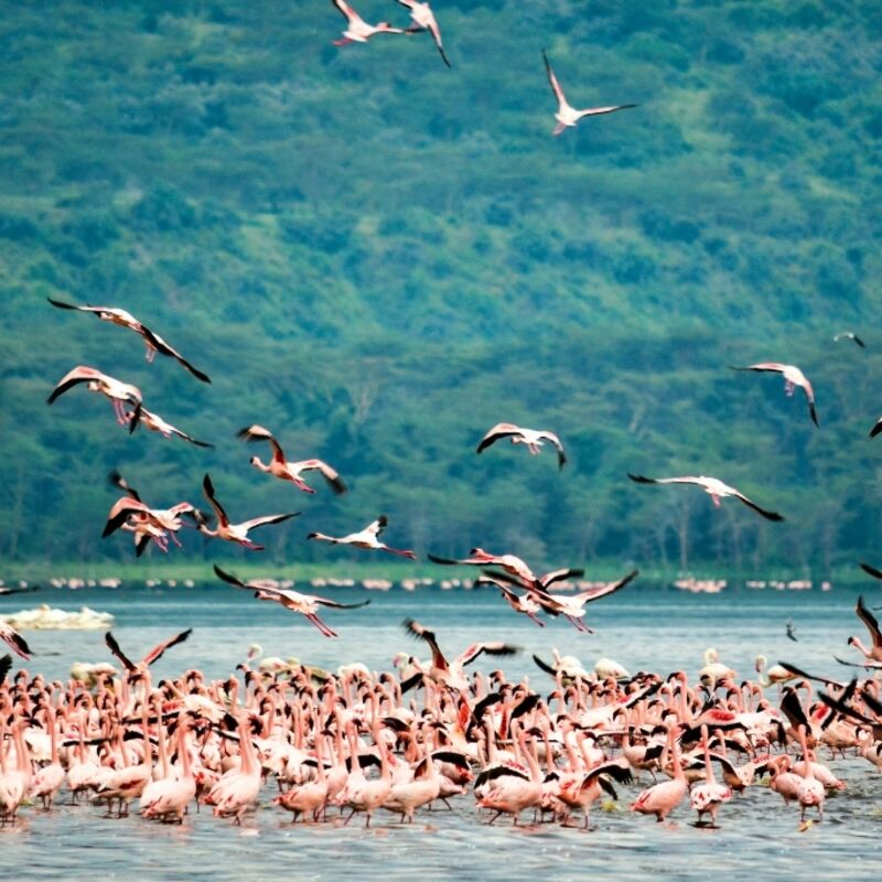 Kenia - Nakuru County