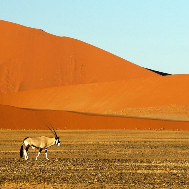 Namibië - Namib-Naukluft National Park