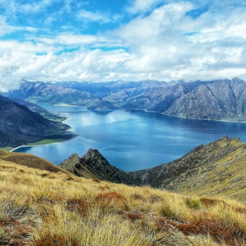 Nieuw-Zeeland - Otago - Lake Wanaka