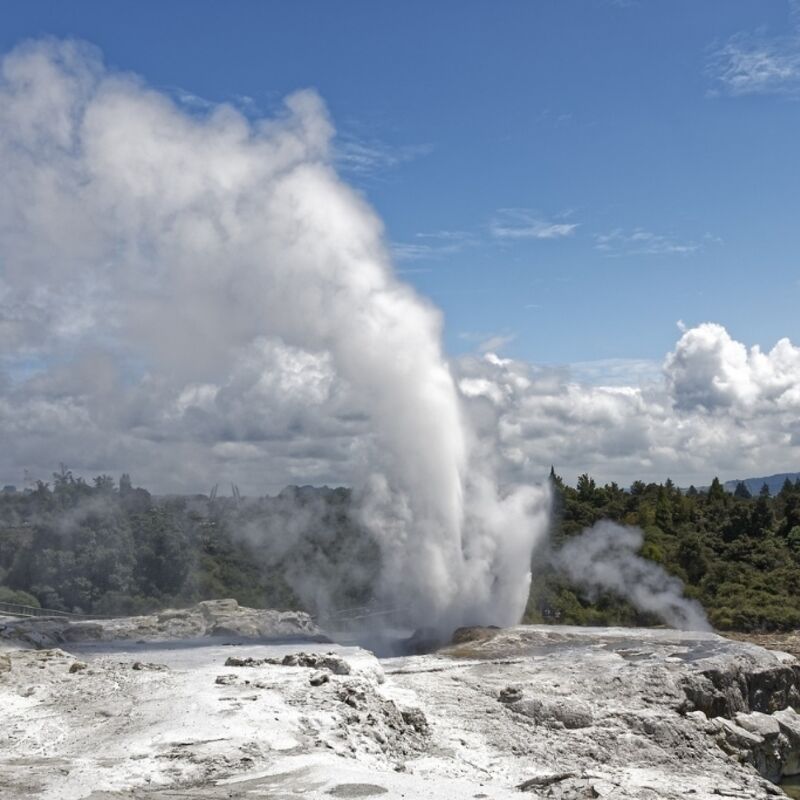 Nieuw-Zeeland - Rotorua - Whakarewarewa Thermal Velley - Pohutu Geyser