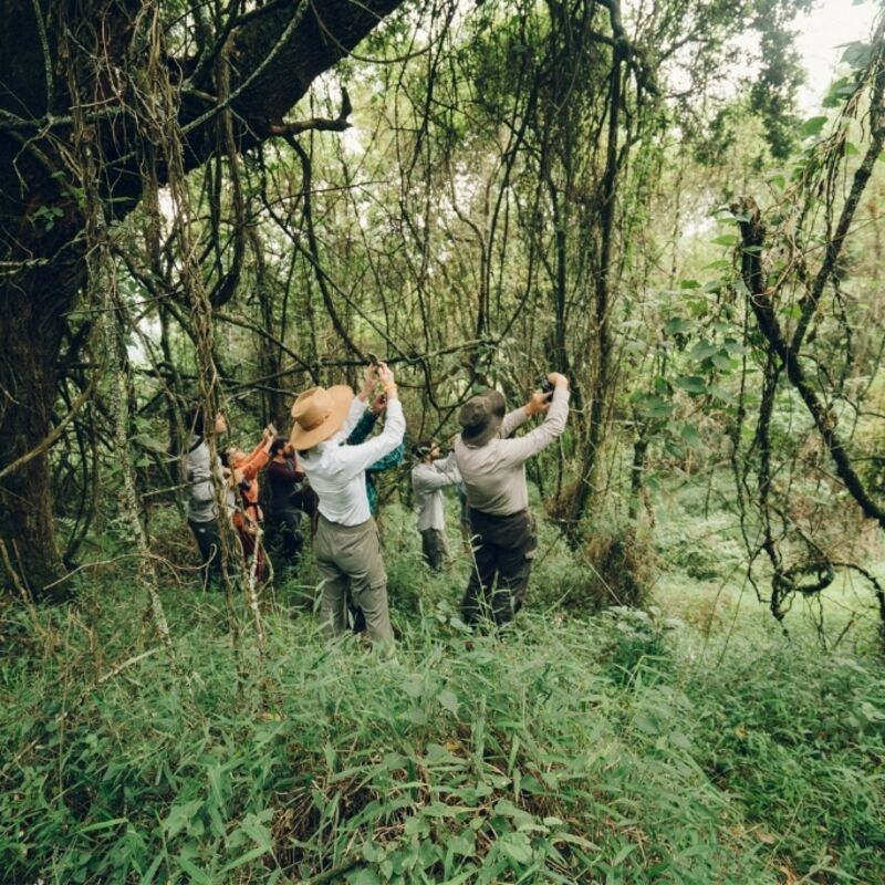 Oeganda - Bwindi Impenetrable Forest