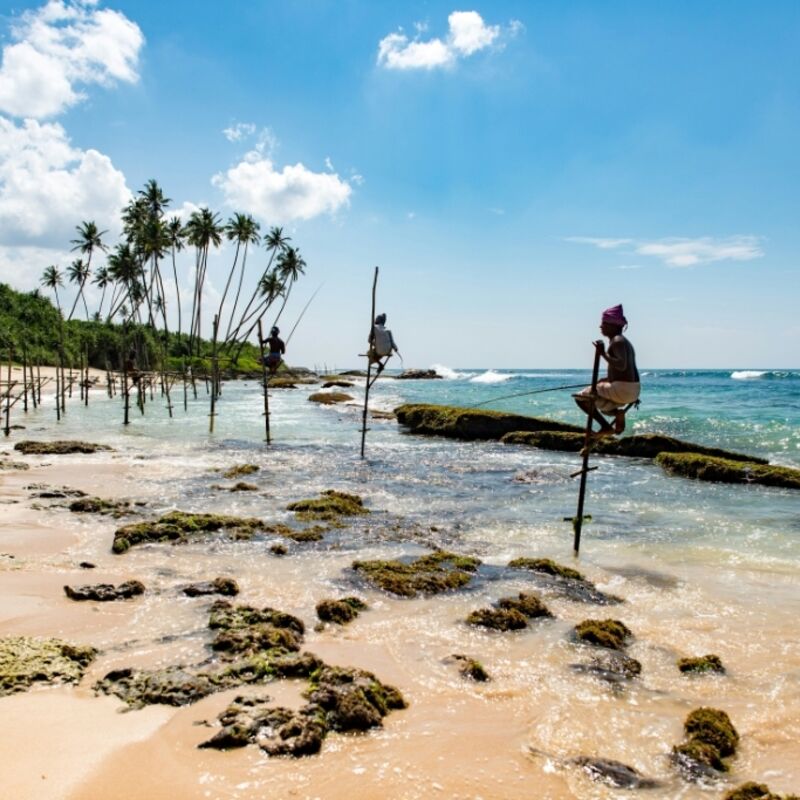 Sri Lanka - Mirissa