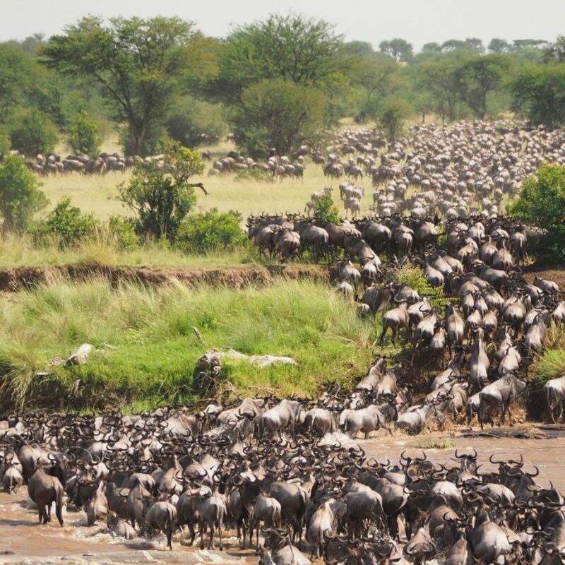 Tanzania - De Grote Trek