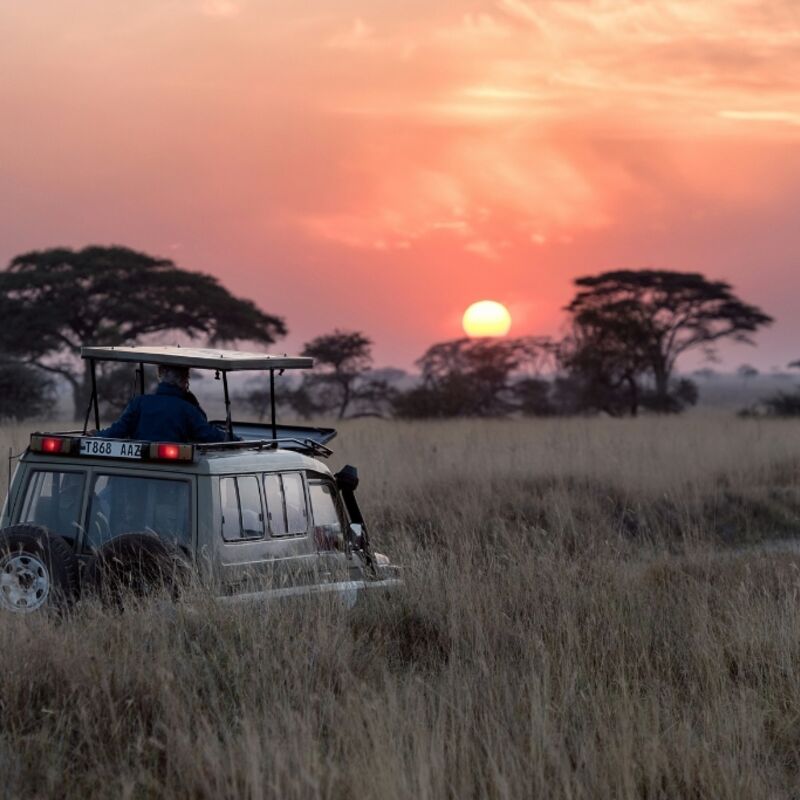 Tanzania - Serengeti National Park