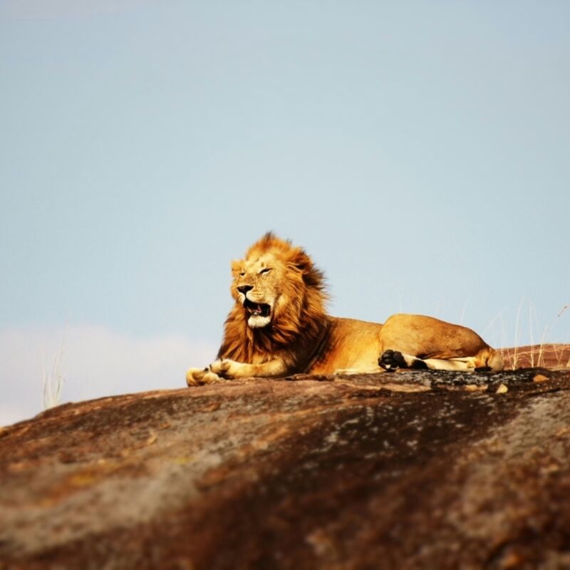 Tanzania - Serengeti National Park