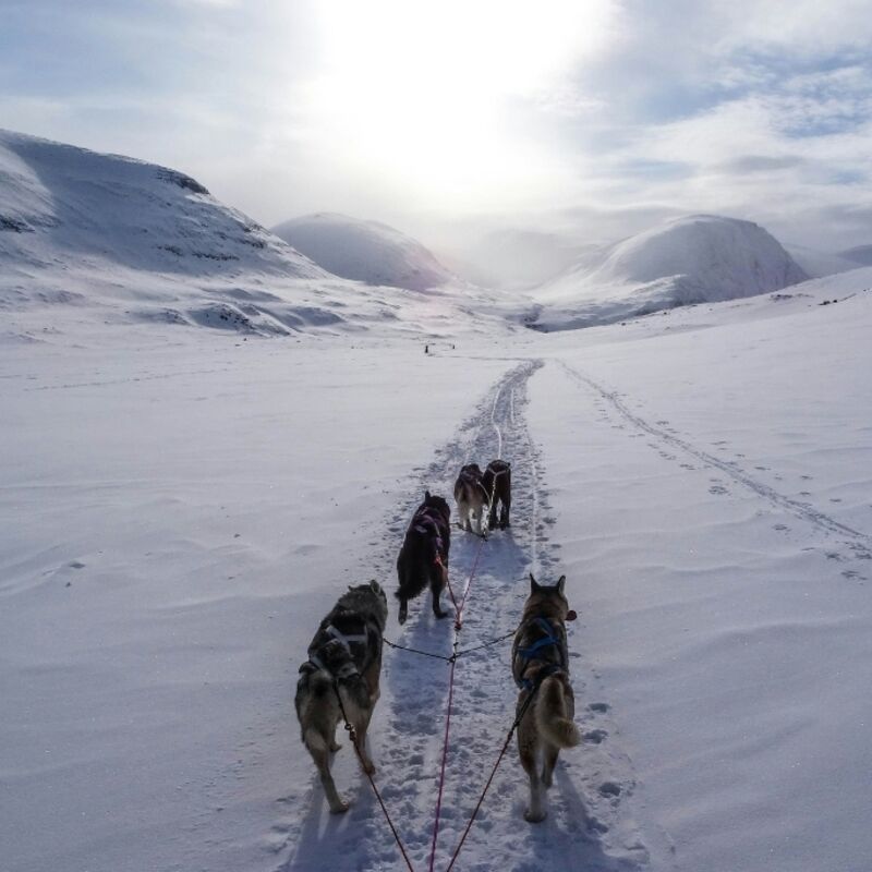 Zweden - Gällivare - Kungsleden